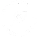 biomimetic